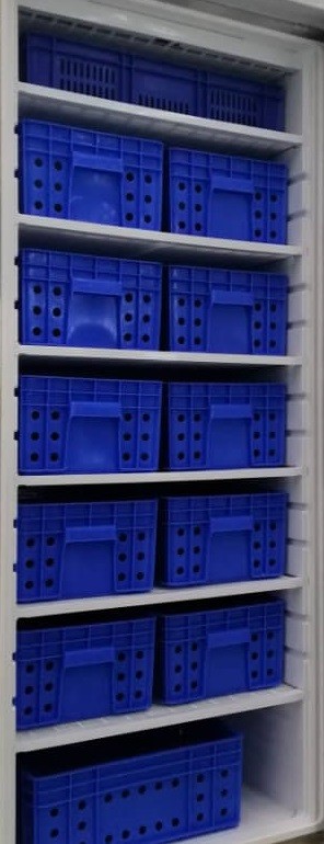 Armario Congelados GN2/1 con 12 Cajones Acero Inoxidable 600 litros de 775x750x1850h mm PEKÍN DF600SS-C