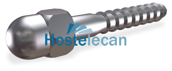 Tornillo barraquero con embellecedor 40x6 mm.